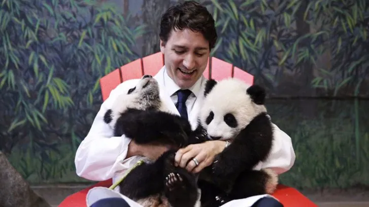 panda with justin